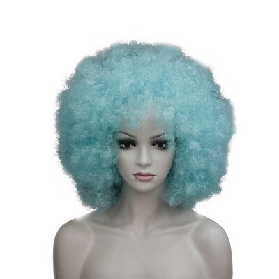 

StrongBeauty Afro Jumbo Festival Fans Wig clown Costume Halloween Dress Up party Wigs Synthetic Hair COLOUR CHOICES