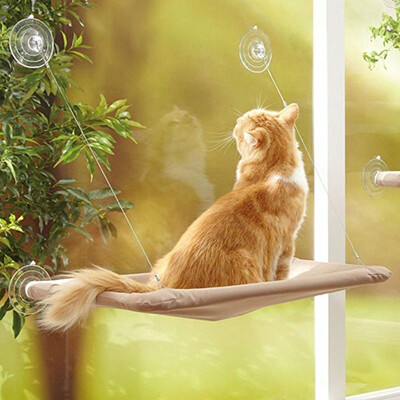 

Creative Pet Cat Window Perches