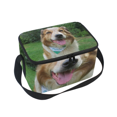 

ALAZA Lunch Box Insulated Lunch Bag Large Cooler Dog Collie Happy Tote Bag