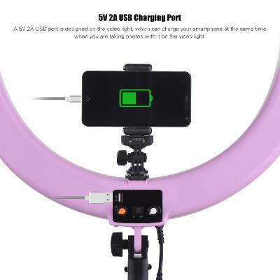 

Andoer RL720B Professional 19 Inch 3200K-5600K Bi-Color Digital Ring Video Light 720pcs LEDs Adjustable Brightness CRI90 with Pho