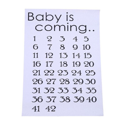 

Baby is Coming Maternity Women Calendar Countdown Pregnancy Mark Off Baby Announcment Baby Birth Countdown 42 Weeks Cloth Accessor