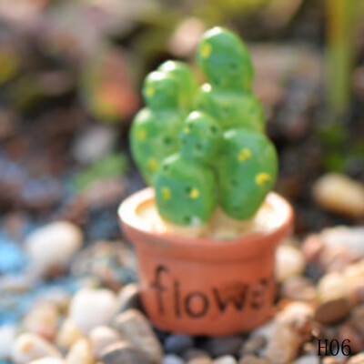 

landscape Garden Miniature Moss micro landscape Ecological Individual Ecological Craft Pot