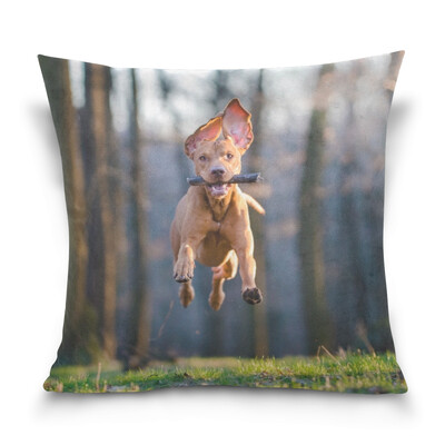 

ALAZA Throw Pillow Case Decorative Pillow Covers 16 X 16 inch Hound Dog Picture Pattern Pillowcase