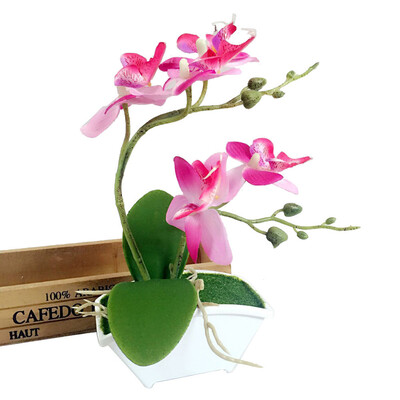 

JPGIF Double Fork Butterfly Orchid Plant Bonsai Creative Flower Arranging Accessories