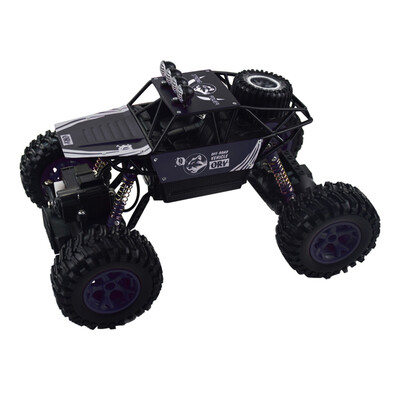

Siaonvr 114 2WD High Speed RC Racing Car Remote Control Truck Off-Road Buggy Toys