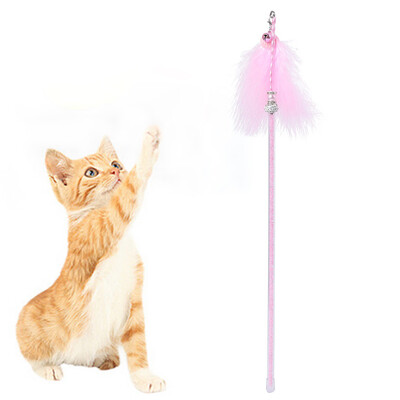 

Gobestart Kitten Cat Toy Interactive Toy Soft Ball And Cat Feather And Bell Toy