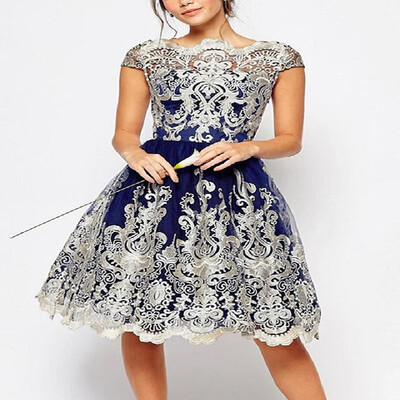 

Stretch Gauze Embroidery Corset Overlay Eyelets Hem Skater Dress