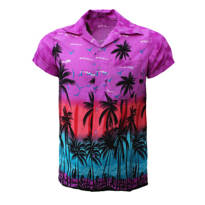 

Toponeto Fashion Mens Casual Button Hawaii Print Beach Short Sleeve Quick Dry Top Blouse