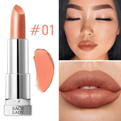 

Sexy 9 Colors Silky Matte Lipstick Makeup Waterproof Pigmented Lip Stick Long-lasting Lips Make Up Cosmetics