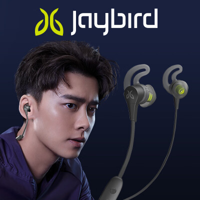 

Jaybird X4 Wireless Bluetooth Sports Headphones Sweatproof Waterproof Personalized Music 8 Hours Listening to Black Light Black