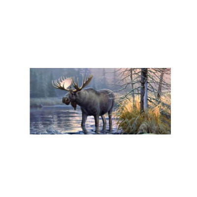 

Car Sticker Moose Forest Rear Window Graphic Decal for Car Truck SUV 13536cm