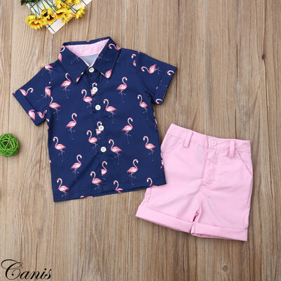 

US Toddler Kid Baby Boy T-Shirt Short Shorts Pants Outfits Clothes Set Outfit