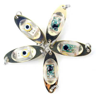 

1pc Outdoor Fishing 6 cm24 inch Flash Lamp LED Deep Drop Underwater Eye Shape Fishing Squid Fish Lure Light