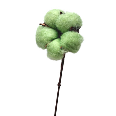 

Natural Cotton Balls Dried Flowers Wedding Dried Flowers Plants Party Birthday Hotel Courtyard Decorations Flowers For Crafts