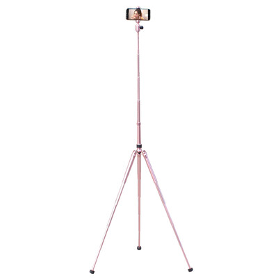 

KYOTSU Jingsheng Mobile Photography Tripod PTZ Set Portable Reflexed Tripod Rose Gold