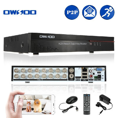 

OWSOO 16CH Channel Full CIF H264 HDMI P2P Cloud Network DVR Digital Video Recorder 1TB Seagate Hard Disk support Audio Record P