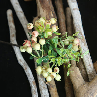 

Decorative Artificial Berry Holly Branch For DIY Festival Ornaments Christmas Tree Decorations Flower Arrangements Decor