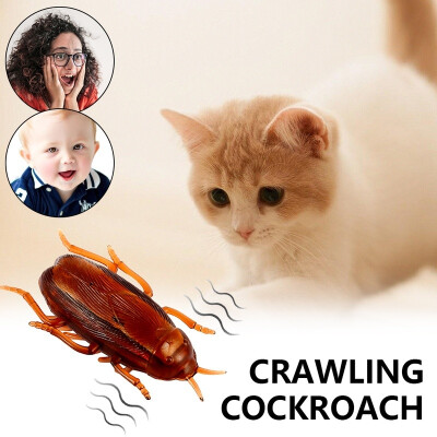 

Electronic Cat Toy with Battery Cockroach Interactive Training Toy Tricky Toy Thriller Toy Prank toy