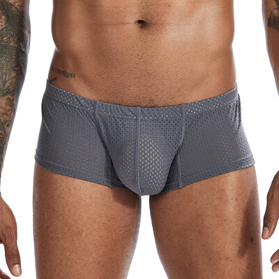 

Men Mesh Lingerie Boxer Briefs Trunks Low Rise Elastic Waist Plus Size Underwear