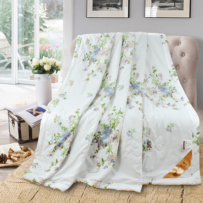 

luonixing Fleece printed summer quilt 14022