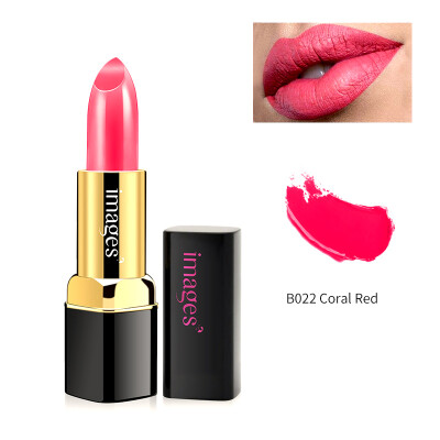 

Charm Lipstick Waterproof Smudge-proof Easy To Color Long-lasting Matte Lipstick Cosmetic Maquiagem Lip Stick Lips Makeup