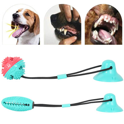 

Dog Bite Sucker Multifunction Pet Molar Bite Toy Pet Molar Ball Pet Molar Bite Toy Interactive Fun Toys with Sucker