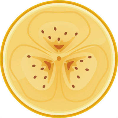 

Novelty Fruit Print Polyester Tapestry Beach Throw Mat Hanging Wall Blankets Orange Kiwi Towel On Sale