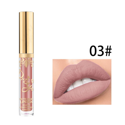 

Frosted Matte Shimmer Lip Gloss Non-Stick Cup Waterproof Long-Lasting Velvet Glitter Liquid Lipstick