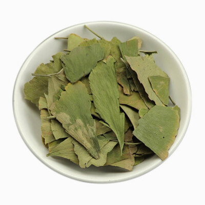 

Ginkgo Biloba Leaves Chinese Wild Ginkgo Tea Medicinal Tea Herbal Tea