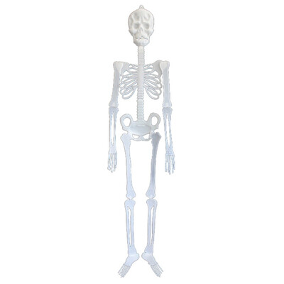 

Halloween Horror Luminous Skeleton Plastic Hanging Skeleton Glow In The Dark For Ghost House Decoration Props Party Supplies