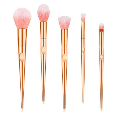 

Brand New 5 Pcs Beautiful Blending Makeup Brushes Suit Professional Beauty Makeup Tools Colorful