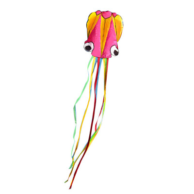 

Tailored Large Octopus Long Tail Beach Kites-Perfect Toy for Kids&Adults Outdoor Game