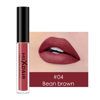 

1Pc Hot Lips Makeup 4 Colors Liquid Lipstick Surface Lip Gloss Tint Lasting Moisturizing Non-stick Cup Lip Glaze