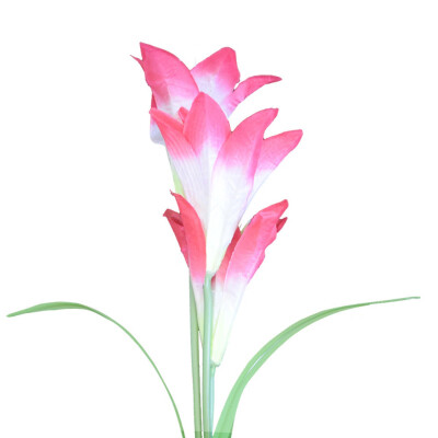 

Gobestart 2 PCS Solar Powered Lights LED Outdoor Waterproof 3 Heads Flower Lily Lawn Lamp