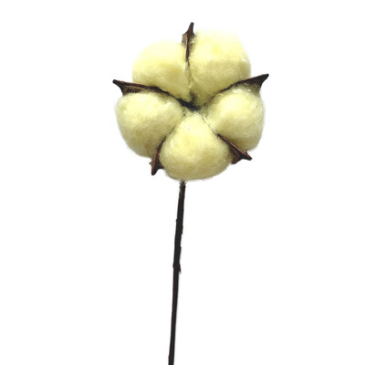 

Natural Cotton Balls Dried Flowers Wedding Dried Flowers Plants Party Birthday Hotel Courtyard Decorations Flowers For Crafts
