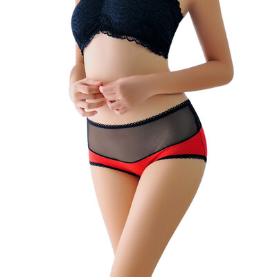 

Mesh Solid Sexy Transparent Briefs For women Super Thin Hollow Briefs Female Underwear Chic Panties