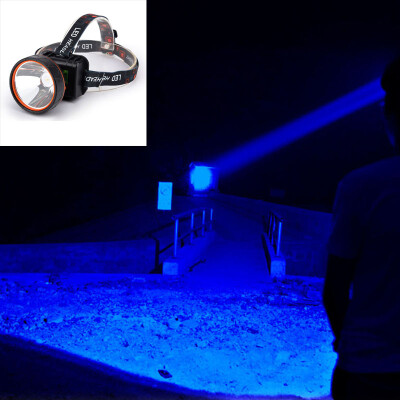 

2019 Head Torch LED Rechargeable Headlamp Waterproof Bright Head Light Lamp Use