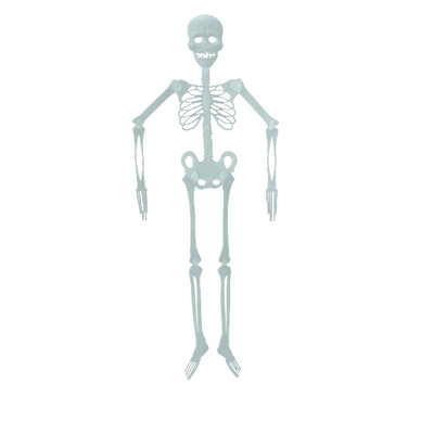 

JPGIF Halloween Props Luminous Human Skeleton Hanging Decoration Outdoor Party US
