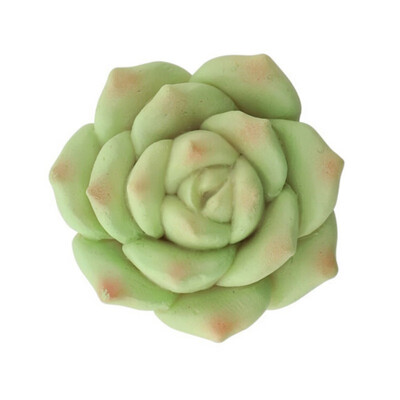 

3d Flower Succulent Plant Wall Simulated Bouquet Fridge Sticker Fridge Magnet Magnetic Potted Plant For Home Wall Decoration