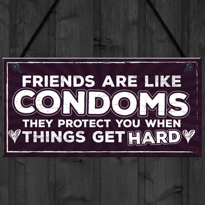 

Gobestart Funny Rude Friendship Sign Best Friend Gift Novelty Birthday Hanging Plaque Gift