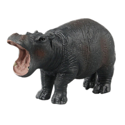 

Tailored Educational Science Hippo Animal Model Ornament Figurine Toy For Kids Gift