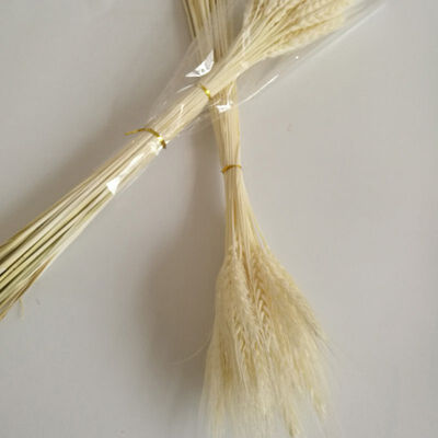 

50 PCS Wheat Ears Artificial Plants For Home Decorations Festive Supplies For Milk Tea Shop