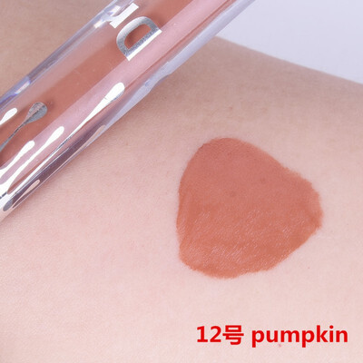 

2018 New 12 Colors Lipstick Hot Sexy Colors Lip Paint Matte Lipstick Waterproof Long Lasting Lip Gloss Lip Kit