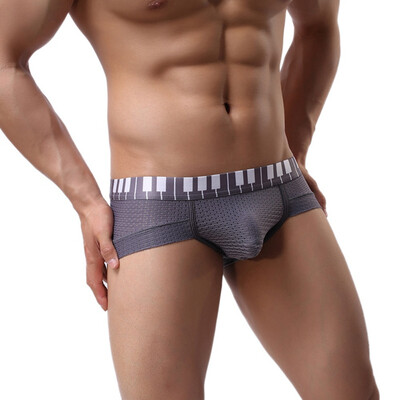 

Mens Briefs Underwear Men New Mesh Breathable Fashion Sexy Sports Underpants Brief Male Panties