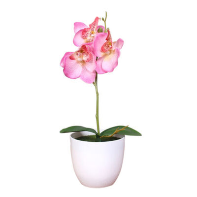 

1PCS Mini Phalaenopsis Potted Artificial Flower For Home Decoration Party Supplies