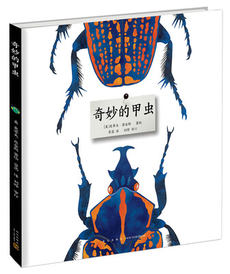 

奇妙的甲虫