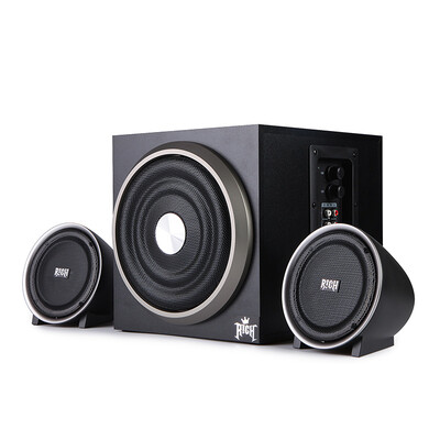 

dostyle SD316 speaker voice box