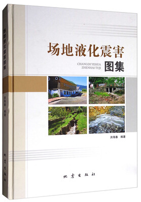 

场地液化震害图集