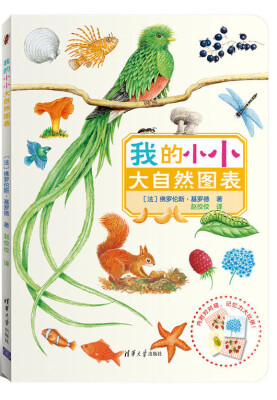 

我的小小大自然图表