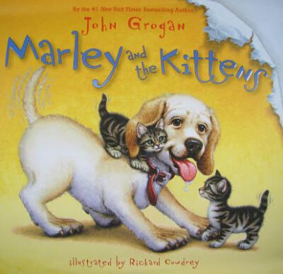 

Marley&the Kittens